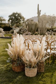 an outdoor ceremony set up with chairs and flowers in wicker baskets on the grass