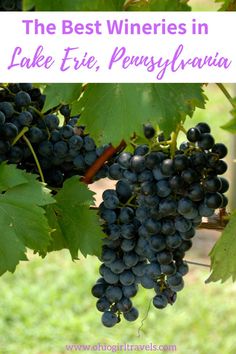 the best wineries in lake tite, pennsylvania with text overlay that reads