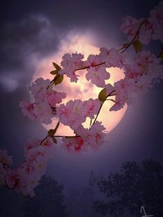 the full moon shines brightly behind pink flowers on a branch in front of dark clouds