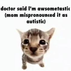 an image of a cat with the caption doctor said i'm awesometastist mom mispronounced it as autii