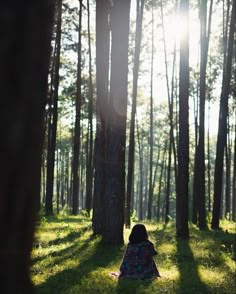 a woman sitting in the middle of a forest looking up at the sun shining through the trees