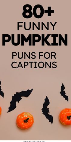 an advertisement for pumpkins with the words,'80 + funny pumpkin puns for captions '