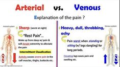 an image of the effects of venous and explanation of the pain