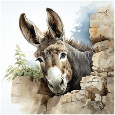 Donkey Photos, Watercolor Donkey, Donkey Clipart, Donkey Images, Donkey Drawing, Download Stickers, Unique Clipart, Christmas Donkey, Miniature Donkey