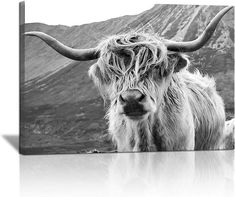 a black and white photo of a yak with long horns standing in front of a mountain