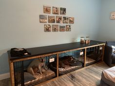 two dogs are sitting in their kennels on the floor