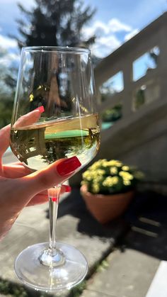 a woman holding a wine glass with white wine in it and her nails painted red