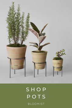 shop bloomist's pots Terra Cotta Pots Garden, Repotting Plants, Wrought Iron Plant Stands, Iron Plant Stand, Iron Planters, Handmade Planter, Iron Plant, Low Light Plants, Terracotta Planter