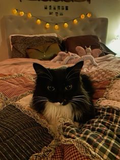 a black and white cat sitting on top of a bed covered in blankets next to lights