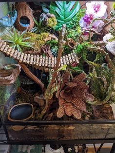 an assortment of succulents and plants in a glass container