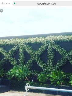 an outdoor living area with plants growing on the wall