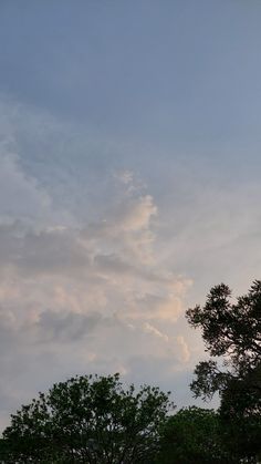 an airplane is flying high in the sky above some trees and grass at sunset or dawn