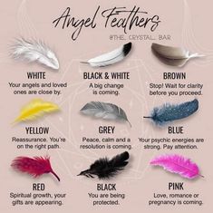 Feather Color Meaning, Finding Feathers, Feather Tattoo Meaning, Feather Meaning, Angel Feather, Angel Feathers, Witch Spirituality, Magic Spell Book, Wiccan Spell Book