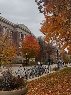 many bicycles are parked on the sidewalk in front of a building with autumn leaves around it