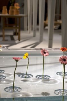 three flowers are in the middle of a table with water on it and one is upside down