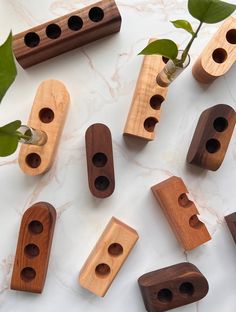 several wooden pegs are arranged next to a plant