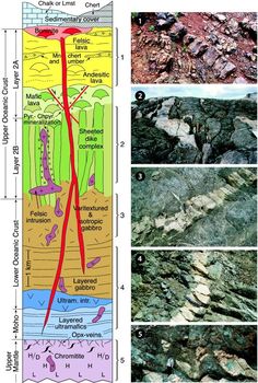 four different types of rocks and their names are shown in the diagram, along with each other