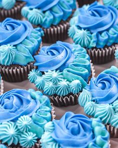 cupcakes with blue frosting on them are arranged in the shape of roses