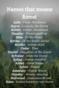 names that mean the forest with trees in the background