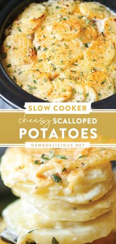 SLOW COOKER CHEESY SCALLOPED POTATOES Things To Make In Crockpot, Butter Potatoes Crockpot, Creamy Crockpot Meals, Dinner Sides Crockpot, Healthy Potato Crockpot Recipes, Crock Pit Dinner, Easter Potatoes Recipes Crockpot, Crockpot Sides For Easter, Easter Potatoes Crockpot