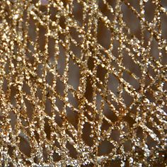 close up view of gold sequins on fabric