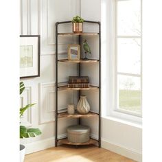 a corner shelf in the corner of a room with potted plants and other items