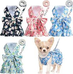 four different styles of small dogs wearing dresses and bows on their collars, all in various colors