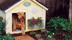 a dog is standing in his house with flowers