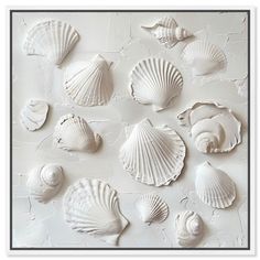 seashells are arranged on a white background