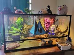 a fish tank filled with lots of different types of marine animals and plants on top of a wooden table