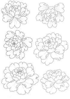 four different types of flowers that are outlined in black and white, each with one large flower