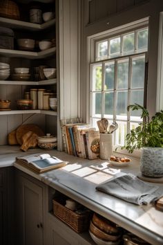 the kitchen counter is covered with books and plants