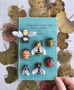 a field guide to the birds with six different bugs on it and leaves in the background