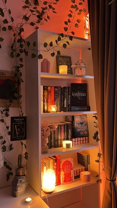 aesthetic, aesthetic books, aesthetic bookshelf, bookshelf, decor, decorated bookshelf, pretty books, candles, aesthetic candles, vines, posters, the weeknd, trilogy, starboy, decorations, bookshelf ideas, books ideas, coquette, vintage, y2k, reading, read books, caraval, trilogy, shelf Book Shelf Room Aesthetic, Rooms With Bookshelves Aesthetic, Aesthetic Room With Books, Bookcase Ideas Aesthetic, Book Shelves Aesthetic Bedroom, Room Ideas Aesthetic Book Shelf, Aesthetic Book Bedroom, Book Collection Aesthetic Bedroom