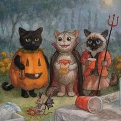 three cats dressed up as witches and pumpkins