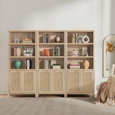 a living room with a bookcase and mirror on the wall next to a rug