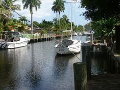 several boats are docked in the water near some palm trees