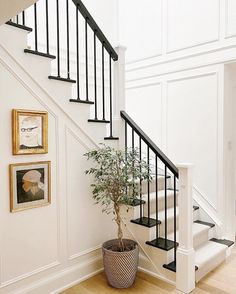 there is a potted plant on the floor in front of the stair railings