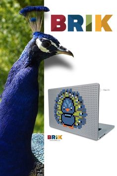 an image of a peacock made out of legos with the words brik on it