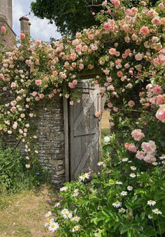 an old door surrounded by pink flowers and greenery in the countryside, with stone walls