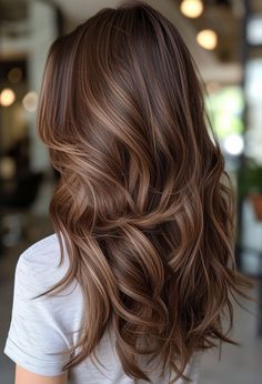 Frost-Touched: 15 Winter Hair Colors to Try Now Chestnut Hair With Lowlights, Brown Hair With Highlights Red Tones, Long Reddish Brown Hair With Highlights, Lived In Summer Brunette, Hairlights In Brown Hair, Highlight Rambut Brown, Choc Brown Hair With Highlights, Natural Hair Colors For Brunettes, Brunette Carmel Highlight