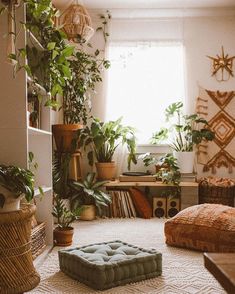 a living room filled with lots of plants and furniture