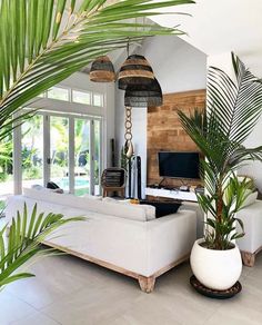 a living room filled with white furniture and lots of green plants on top of it