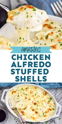 chicken alfredo stuffed shells in a white casserole dish with text overlay reading amazing chicken alfredo stuffed shells