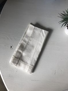 a napkin sitting on top of a white table next to a pine cone and potted plant