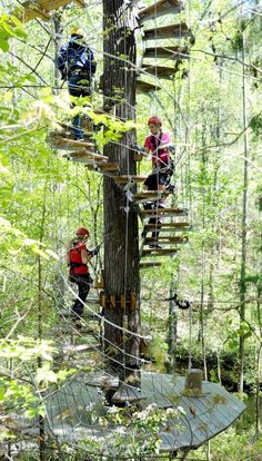 two people on a rope course in the woods with trees and stairs leading up to them