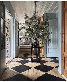 a potted plant sitting on top of a black and white checkerboard floor