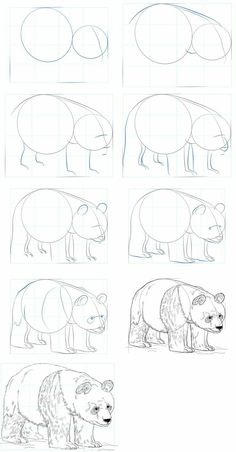 how to draw bears step by step with pictures and instructions for children's drawing