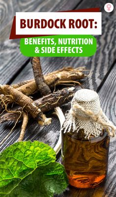 Edible roots are a part of a healthy diet from ages. Horseradish, onion, carrot, ginger, ginseng, and turnip are a few such roots. But lately, the benefits of burdock root are making it a valuable addition to this list. Burdock Root Benefits, Edible Roots, Poke Root, Treating Acne, Prevent Hair Fall, Womens Health Magazine