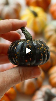 a person holding a tiny pumpkin in their hand